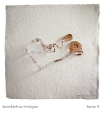 05 brosterhus terra_II