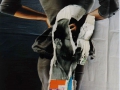 1988-abgerissen-I.jpg