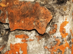 1_P1180052_a