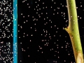 2007-H2O.jpg