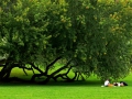 2007-le-dejeuner-sur-l.herbe.jpg