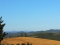 2007-lieblingslandschaft-der-alt-68er.jpg