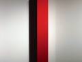 2007-roter-korpus.jpg