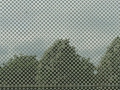 2009-augen-der-museen-xanten-3.jpg