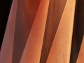 2009-samten.jpg