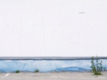 2011-urban-nature.jpg