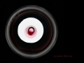 2012_so_merlot_04_arg.jpg