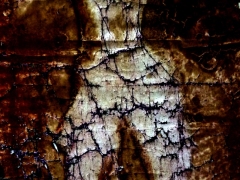 P1170789_a