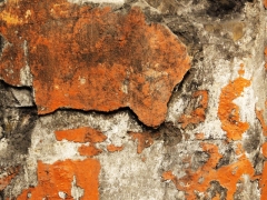 P1180052_a