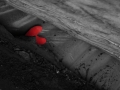 lost heart