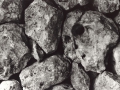 1999-memento-mori.jpg