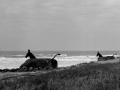 2002-westwall-daenemark----trojanische-mulis.jpg