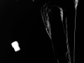 2004-traeumereien-fotogramm.jpg