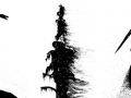 2005 blumen de meeres, 3fach.jpg