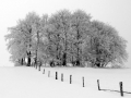 2009-das-werden-im-winter.jpg