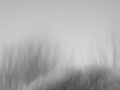 2014 lakescape in winter, oder halbgefrorenes.jpg