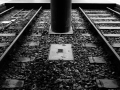 lines stopped